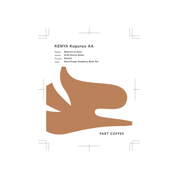 【Light】Kenya Kagunyu AA